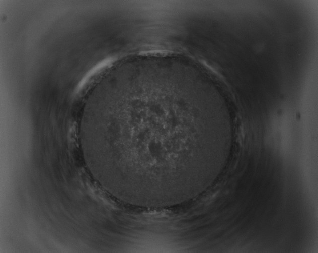 X0000051891351200507020045