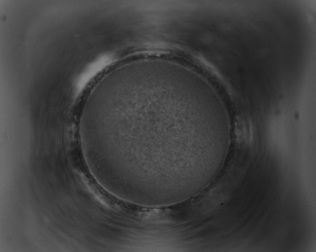 X0000051891352200507020045