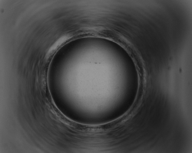 X0000051891354200507020045