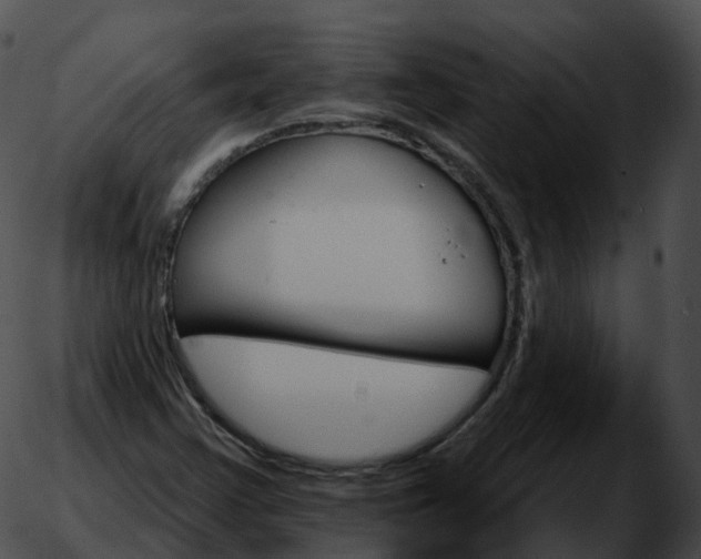 X0000051891355200507020045