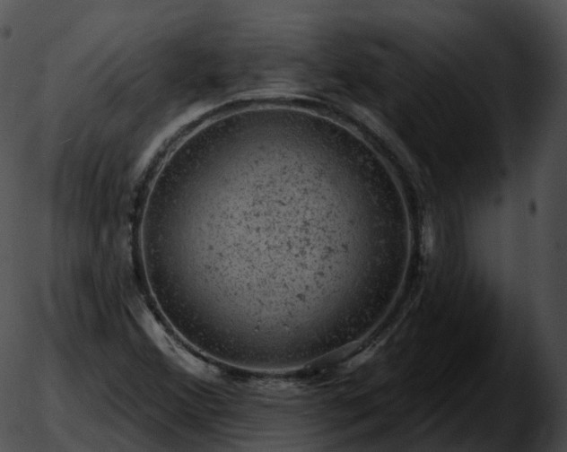 X0000051891356200507020045