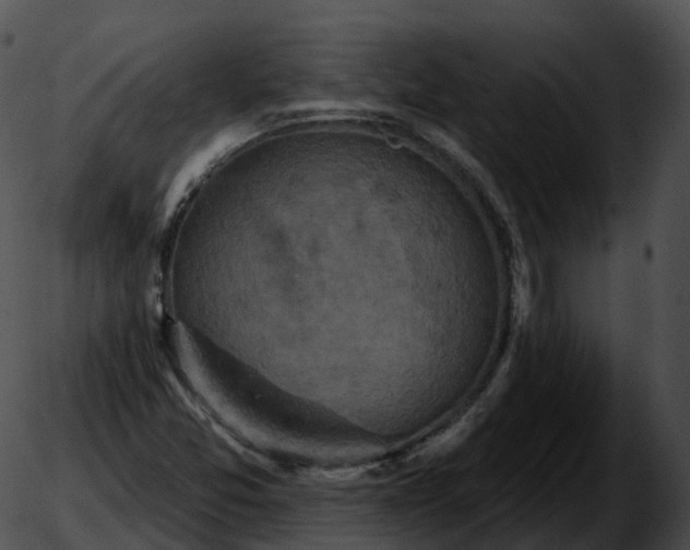 X0000051891357200507020045