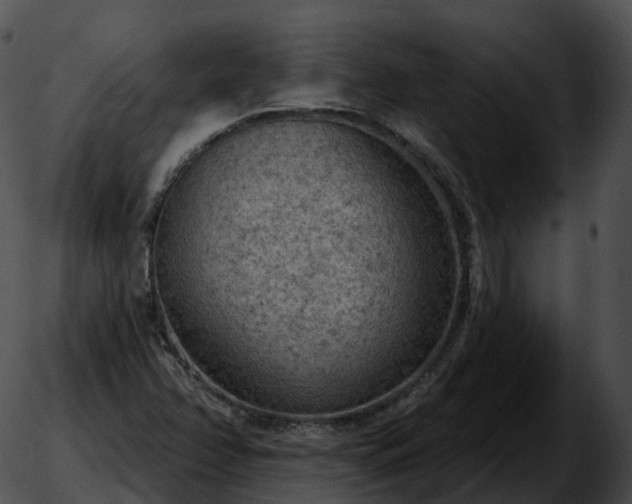 X0000051891358200507020045