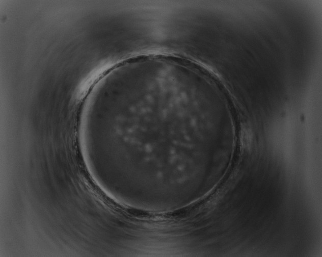 X0000051891359200507020045