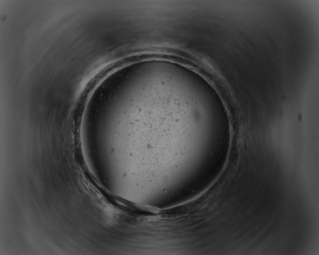 X0000051891360200507020045