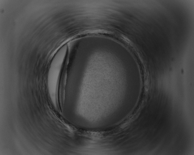 X0000051891361200507020045