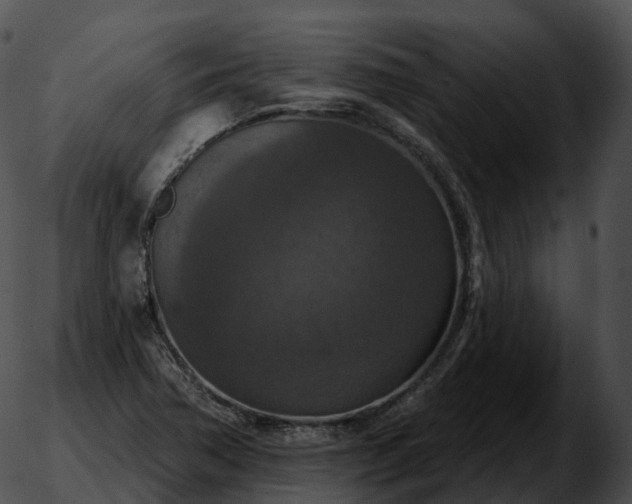 X0000051891362200507020045