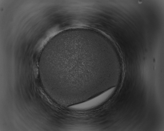 X0000051891363200507020045