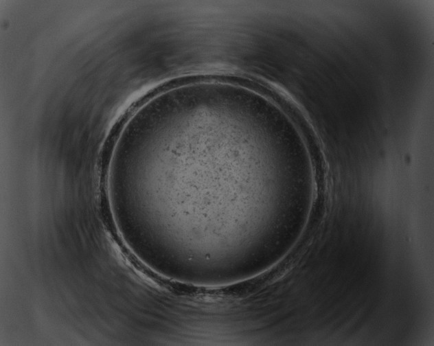 X0000051891364200507020045