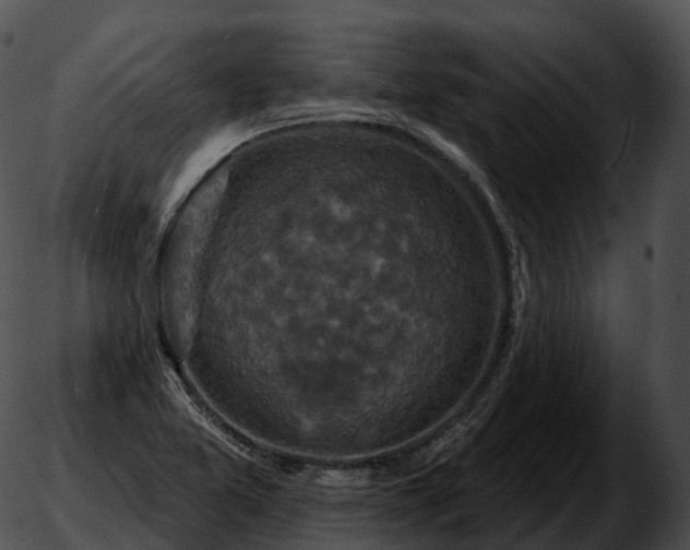 X0000051891365200507020045