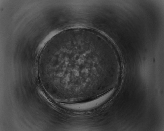 X0000051891367200507020045