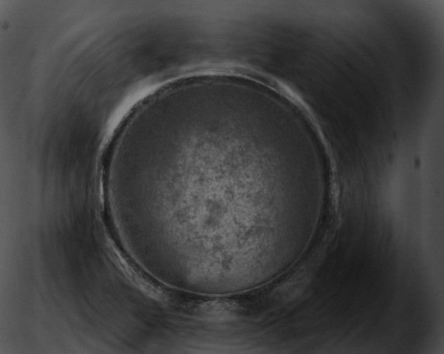 X0000051891368200507020045