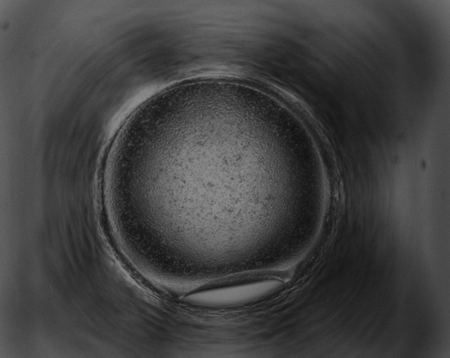 X0000051891375200507020045