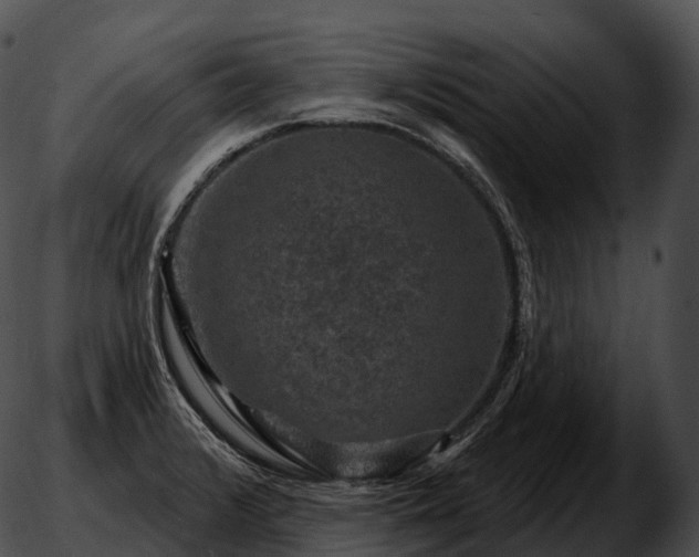 X0000051891376200507020045