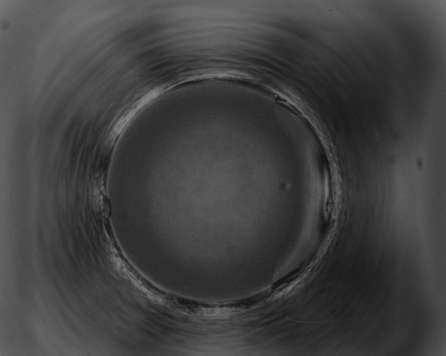 X0000051891377200507020045