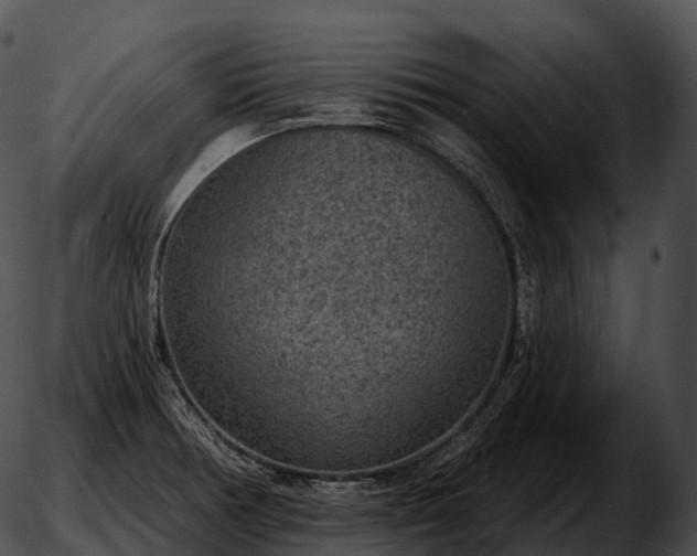 X0000051891378200507020045