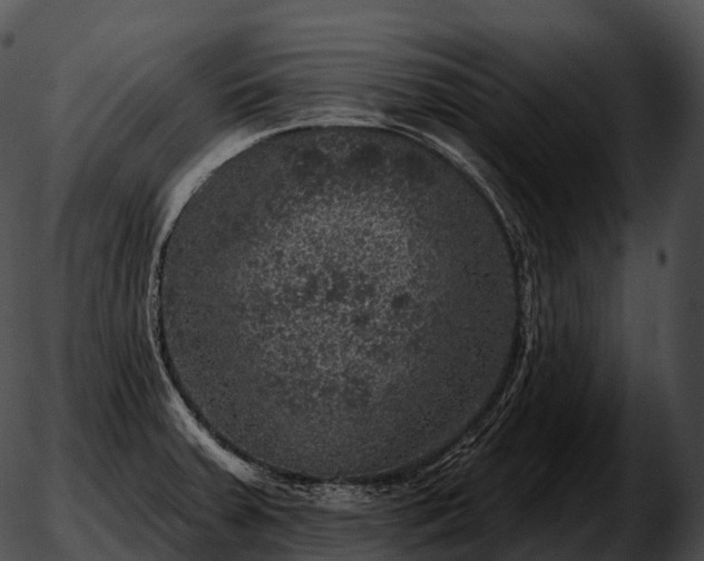 X0000051891379200507020045