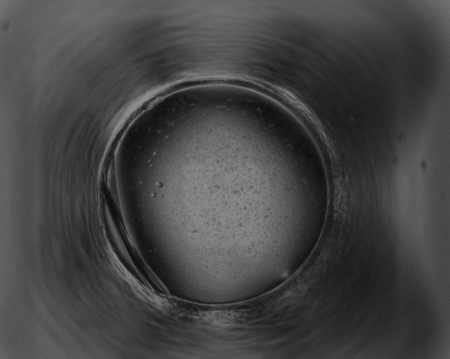 X0000051891380200507020045