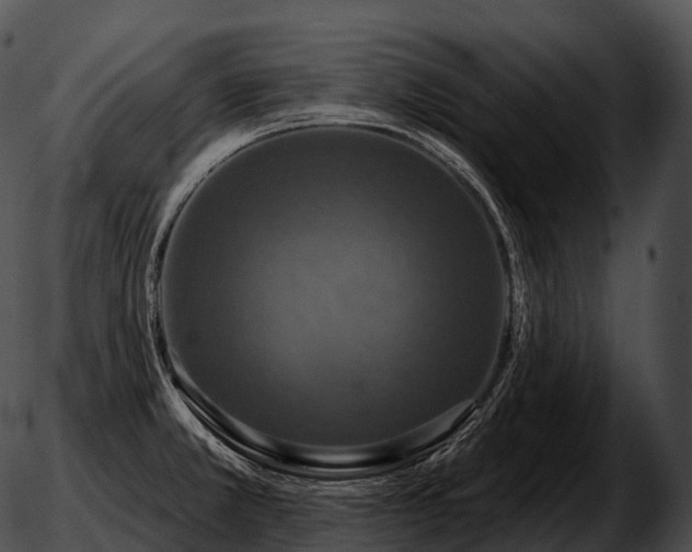 X0000051891381200507020045