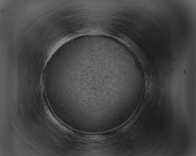 X0000051891382200507020045