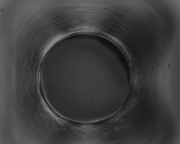 X0000051891383200507020045