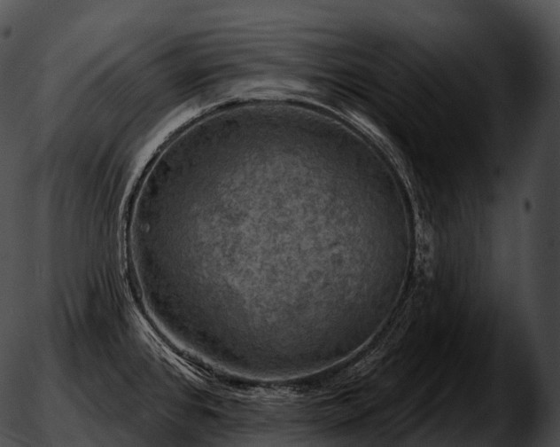 X0000051891384200507020045