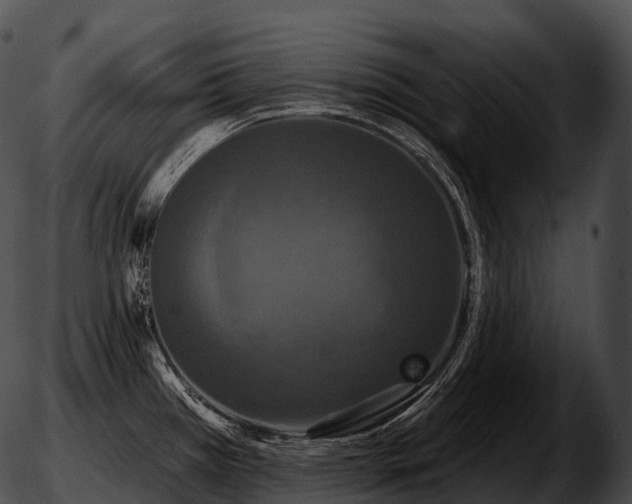 X0000051891385200507020045