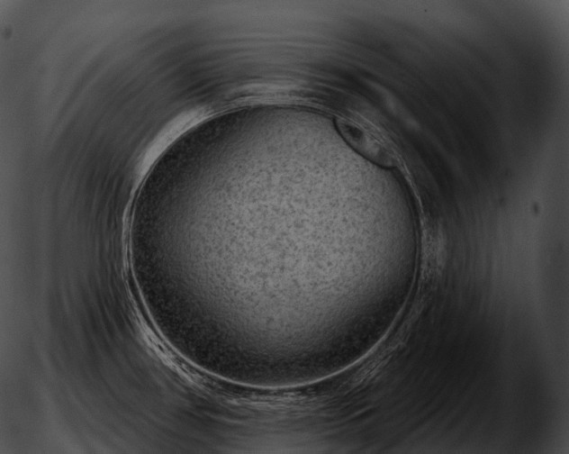 X0000051891386200507020045