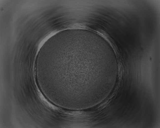 X0000051891387200507020045