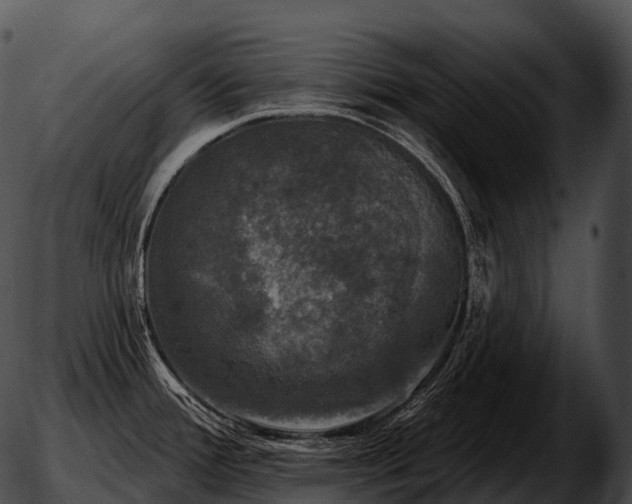 X0000051891388200507020045