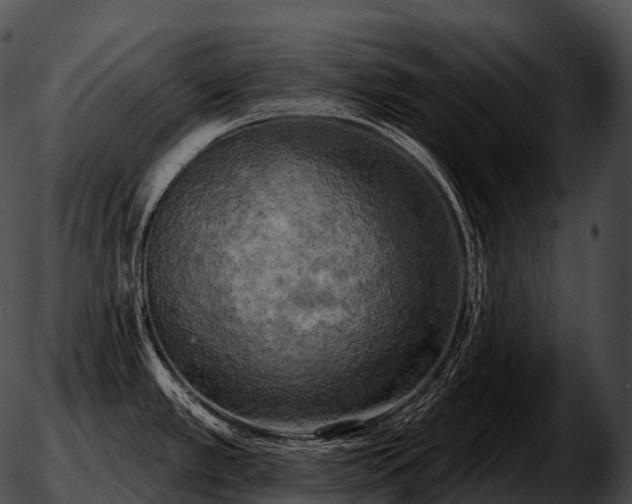 X0000051891389200507020045