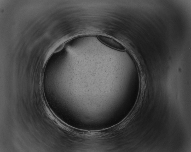 X0000051891390200507020045