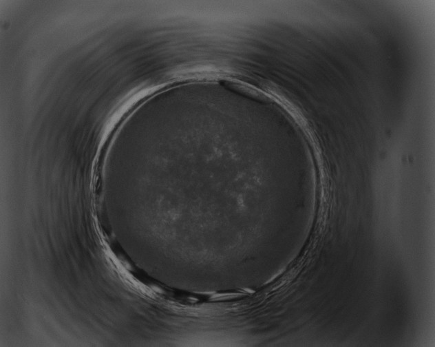 X0000051891392200507020045