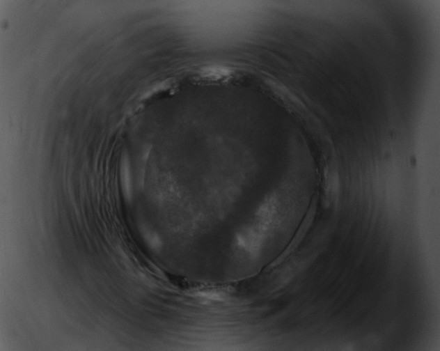 X0000051891394200507020044