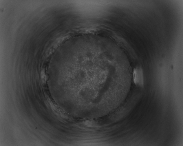 X0000051891395200507020044