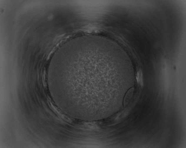 X0000051891396200507020044