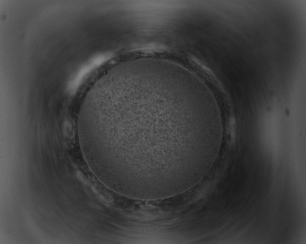 X0000051891398200507020044