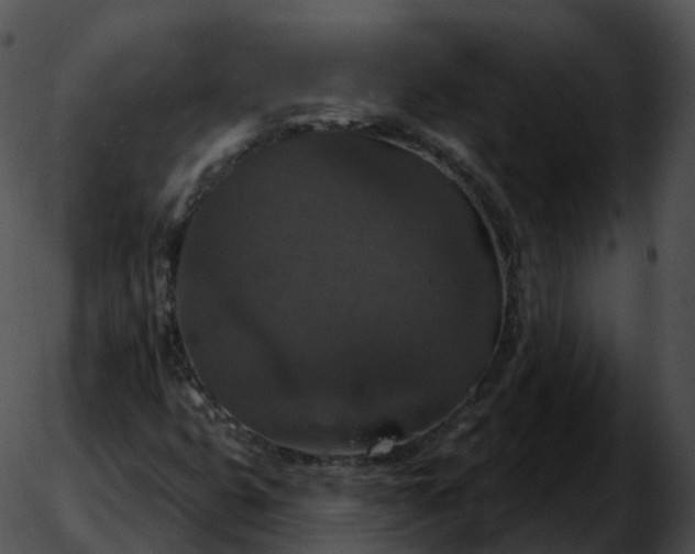 X0000051891399200507020044