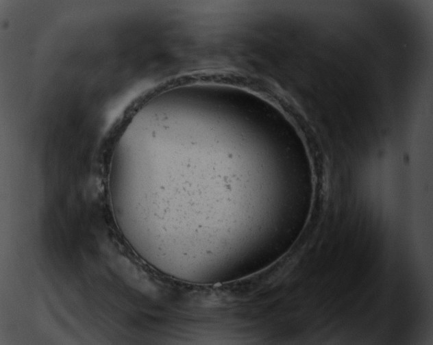 X0000051891400200507020044