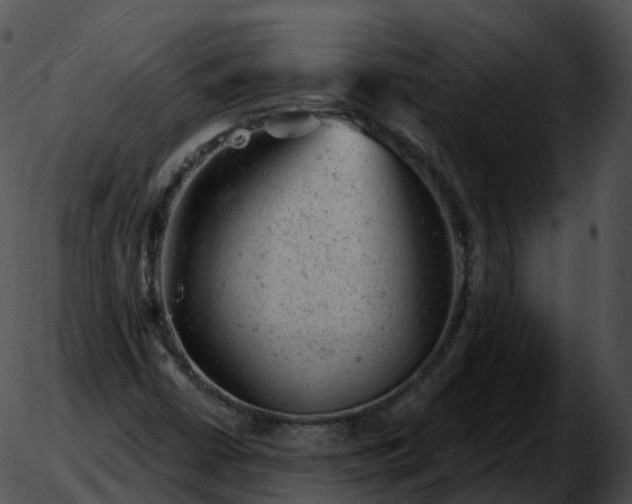 X0000051891402200507020044