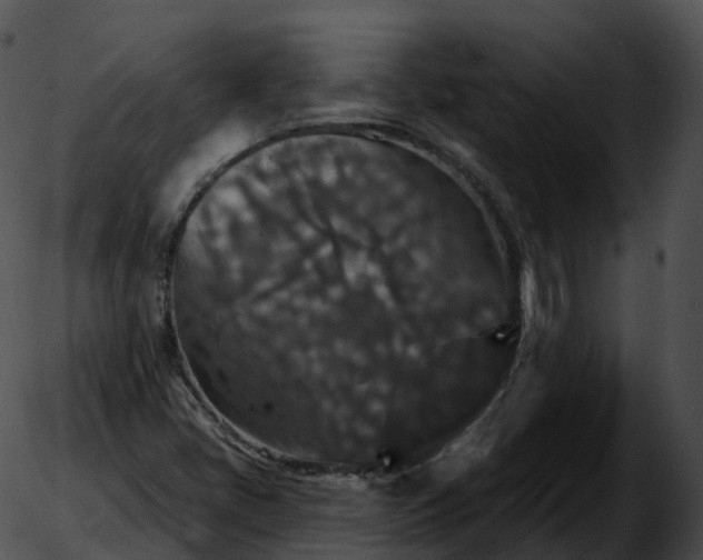 X0000051891405200507020044