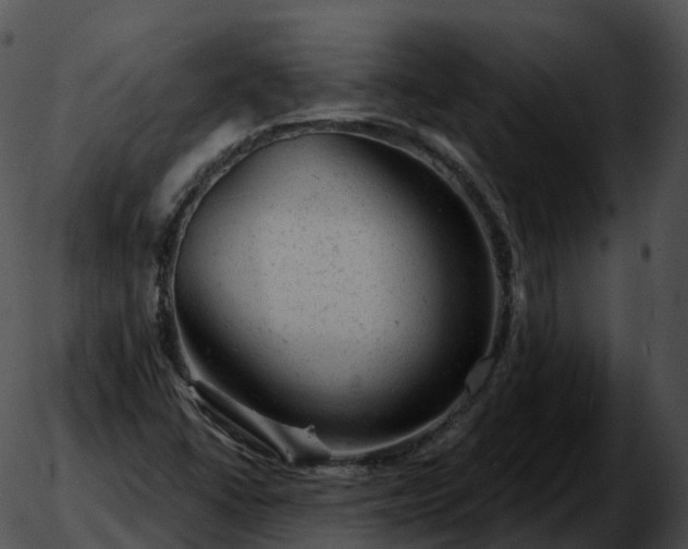 X0000051891406200507020044