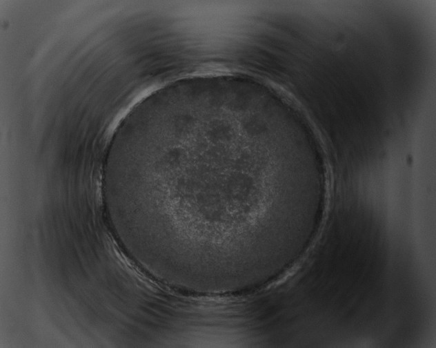 X0000051891409200507020044