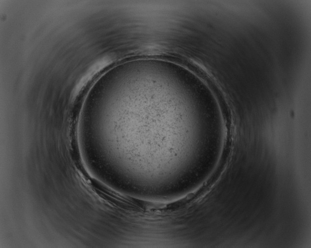 X0000051891410200507020044