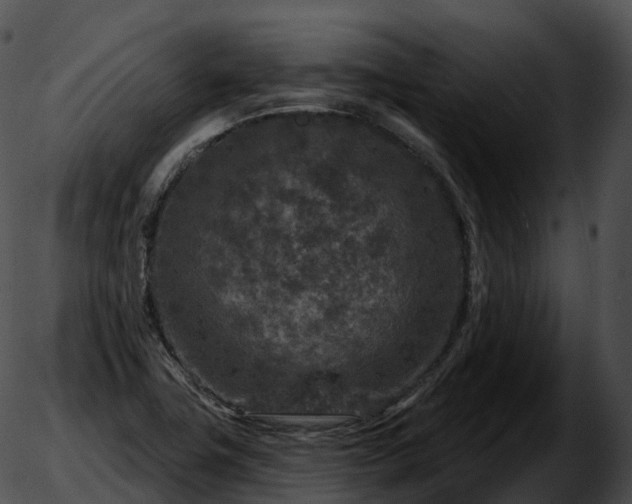 X0000051891411200507020044