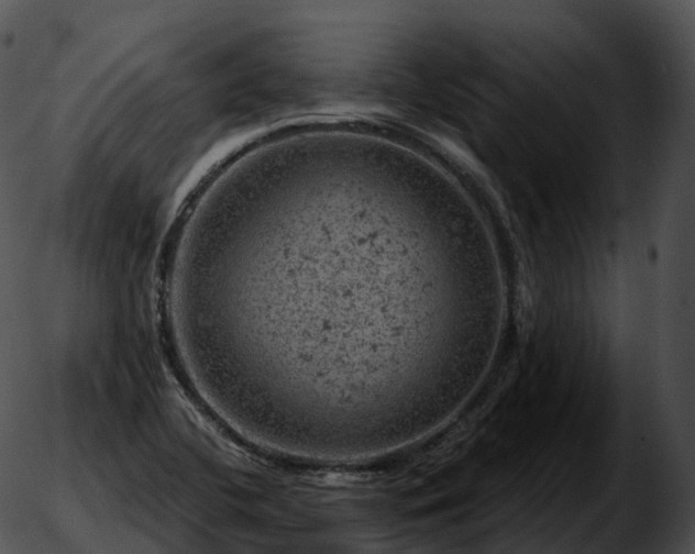 X0000051891412200507020044