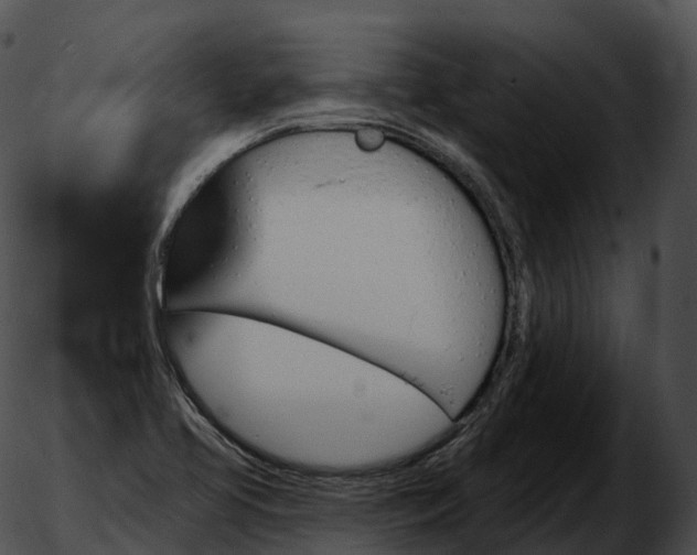 X0000051891413200507020044