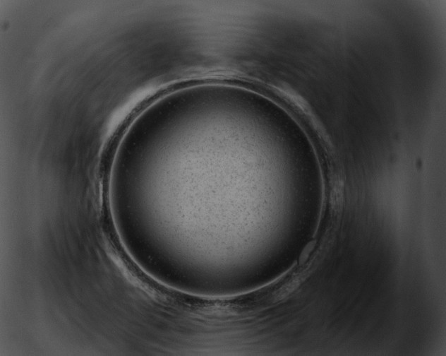 X0000051891414200507020044