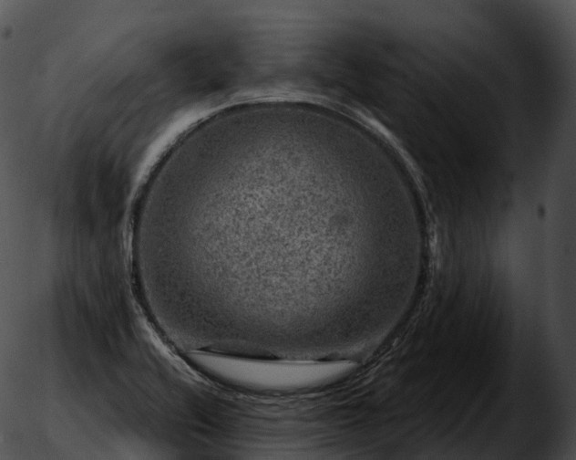 X0000051891416200507020044