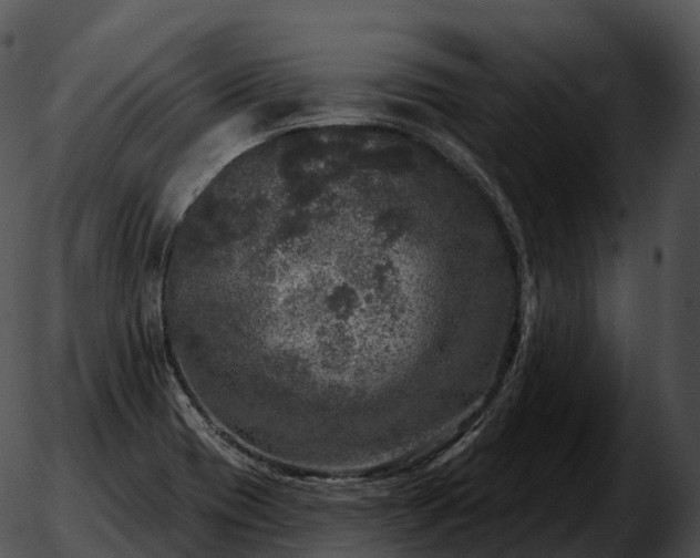 X0000051891417200507020044